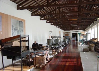 Fabrica-do-ingles-007