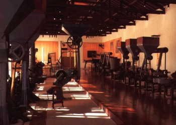 Fabrica-do-ingles-005