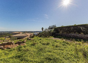 Parque-da-Floresta-011