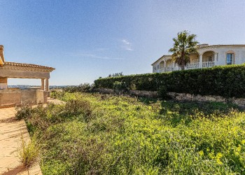 Parque-da-Floresta-009