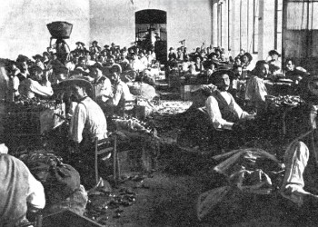 Fabrica-do-ingles-001