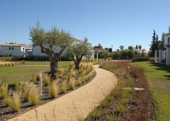 Carvoeiro-Branco-Quinta-do-Algarvio-31