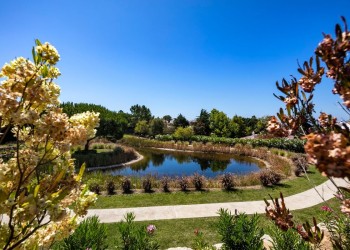 Carvoeiro-Branco-Vale-de-Milho-Golf-23