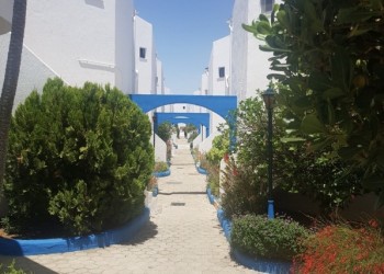 Carvoeiro-Branco-Quinta-do-Paraiso-25
